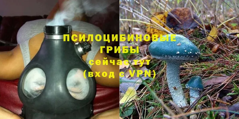 Галлюциногенные грибы Magic Shrooms  где можно купить   Елец 